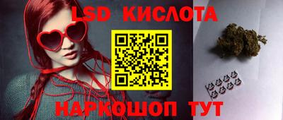 a pvp Новодвинск