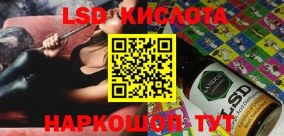 a pvp Новодвинск