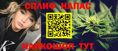 a pvp Новодвинск