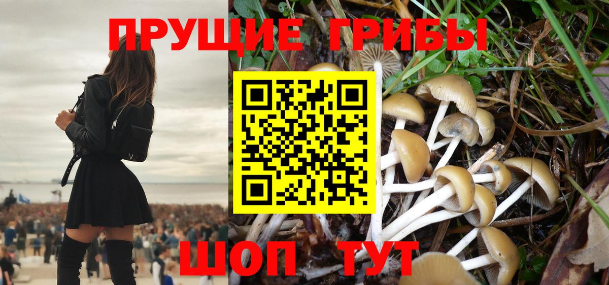 купить наркоту  Галлюциногенные грибы ЛСД  Вход с VPN  Семёнов 